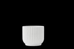 Lyngby Porcelæn Vaser Og Urtepotteskjulere|Urtepotter*Lyngby Blomsterpotte liten hvit